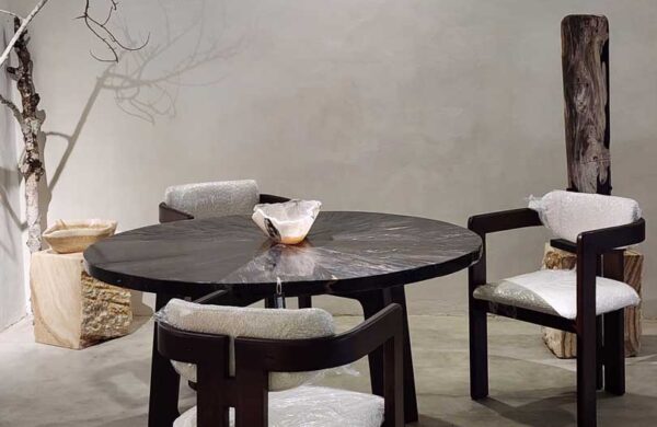 7 Best Petrified Wood Furniture for Cozy Dining Room Interior
