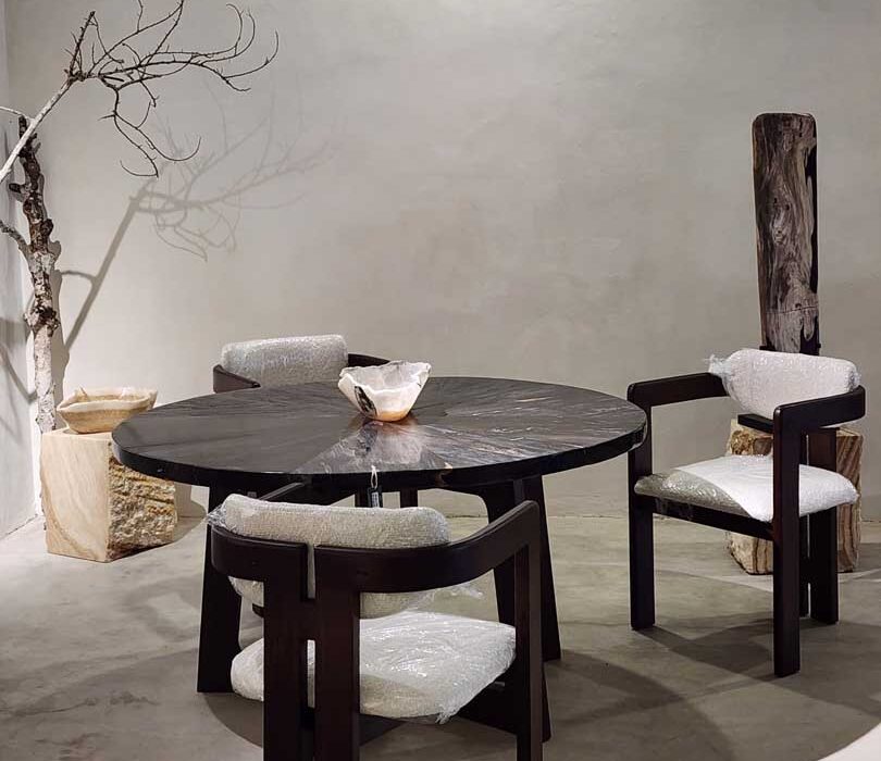7 Best Petrified Wood Furniture for Cozy Dining Room Interior