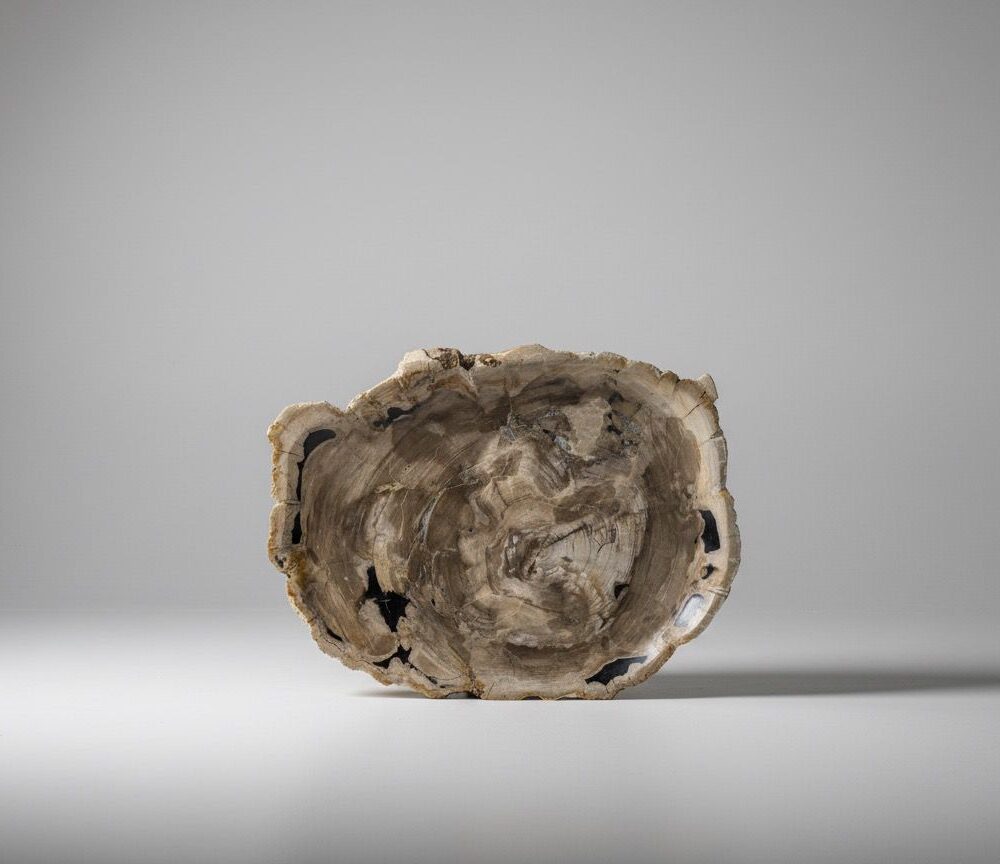 Natural Petrified Plate - PL005