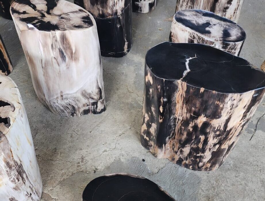 Understanding Petrified Wood Indonesia Quality Types and Uses