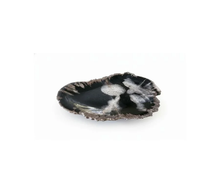 Natural Petrified Plate - PL044