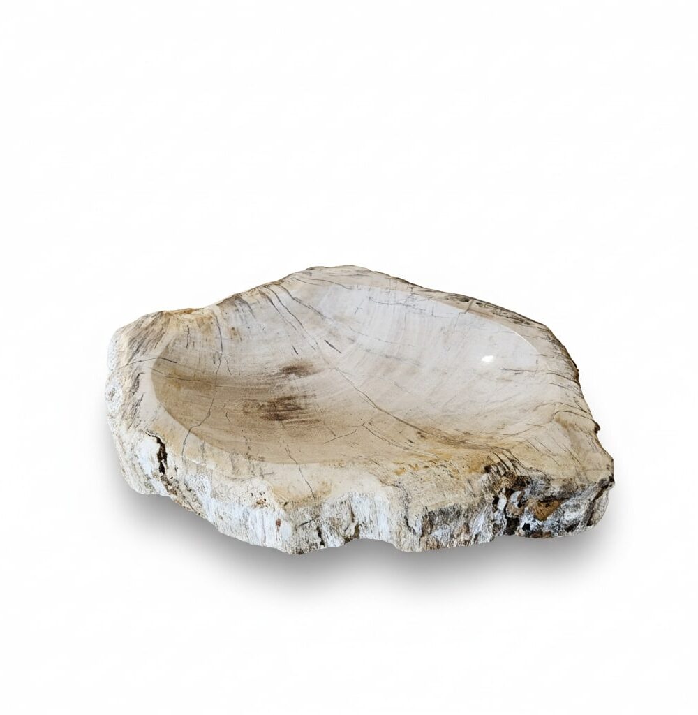 Petrified Wood Ashtray - AS004