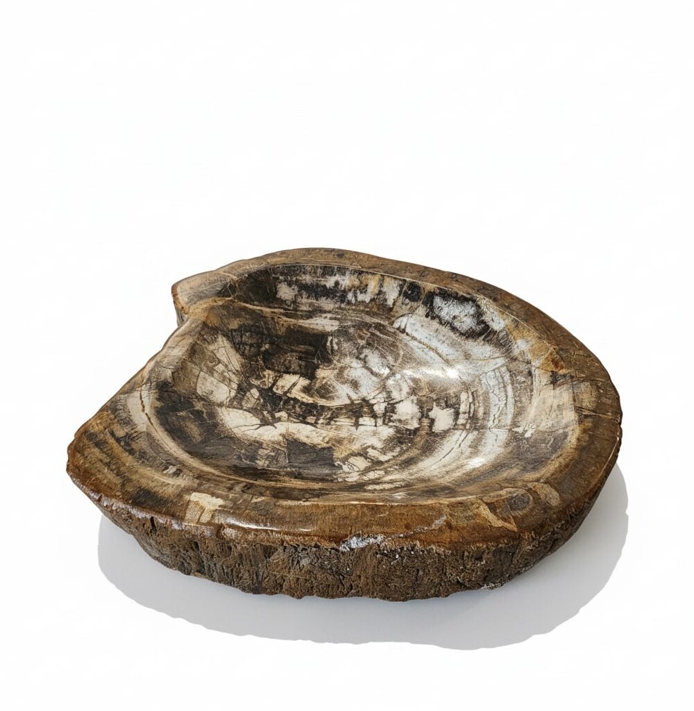 Petrified Wood Ashtray - AS008