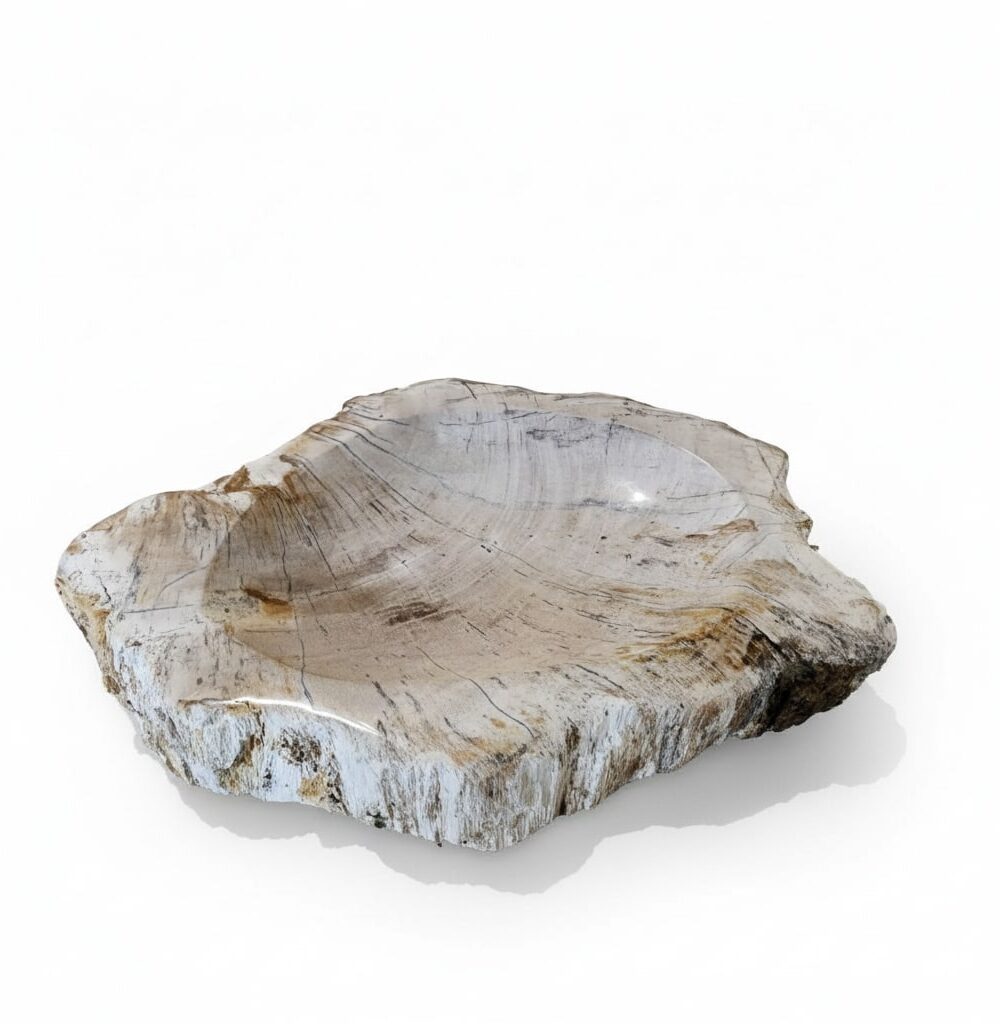 Petrified Wood Ashtray - AS011