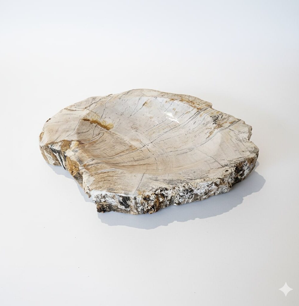 Petrified Wood Ashtray - AS013