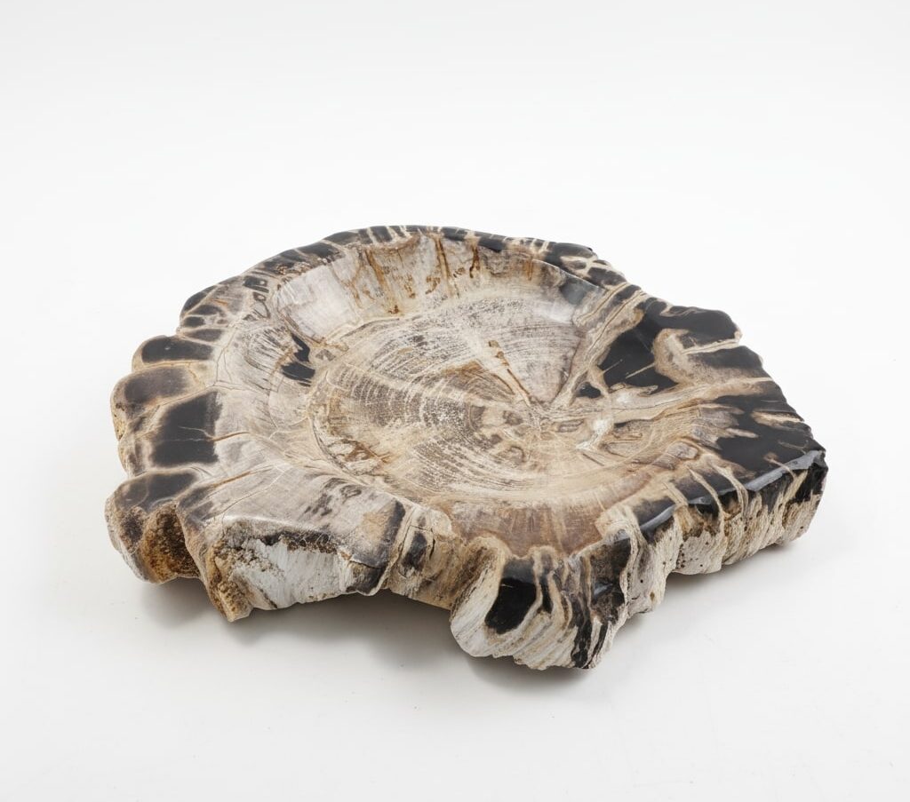 Petrified Wood Ashtray – AS014