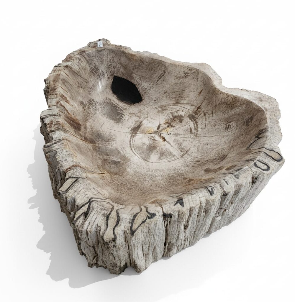 Natural Petrified Bowl - BL009