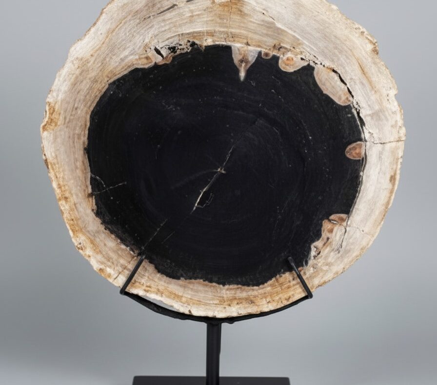 Petrified Wood Stand Decoration - DC037