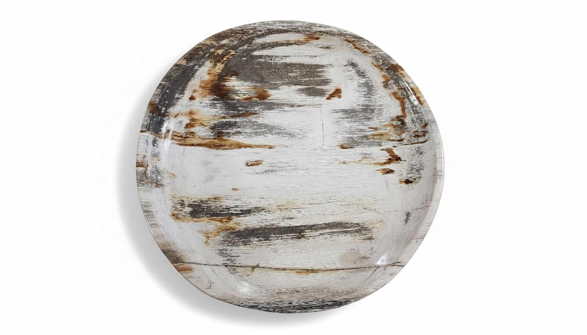 Rounded Petrified Plate - PL008 - Image 2