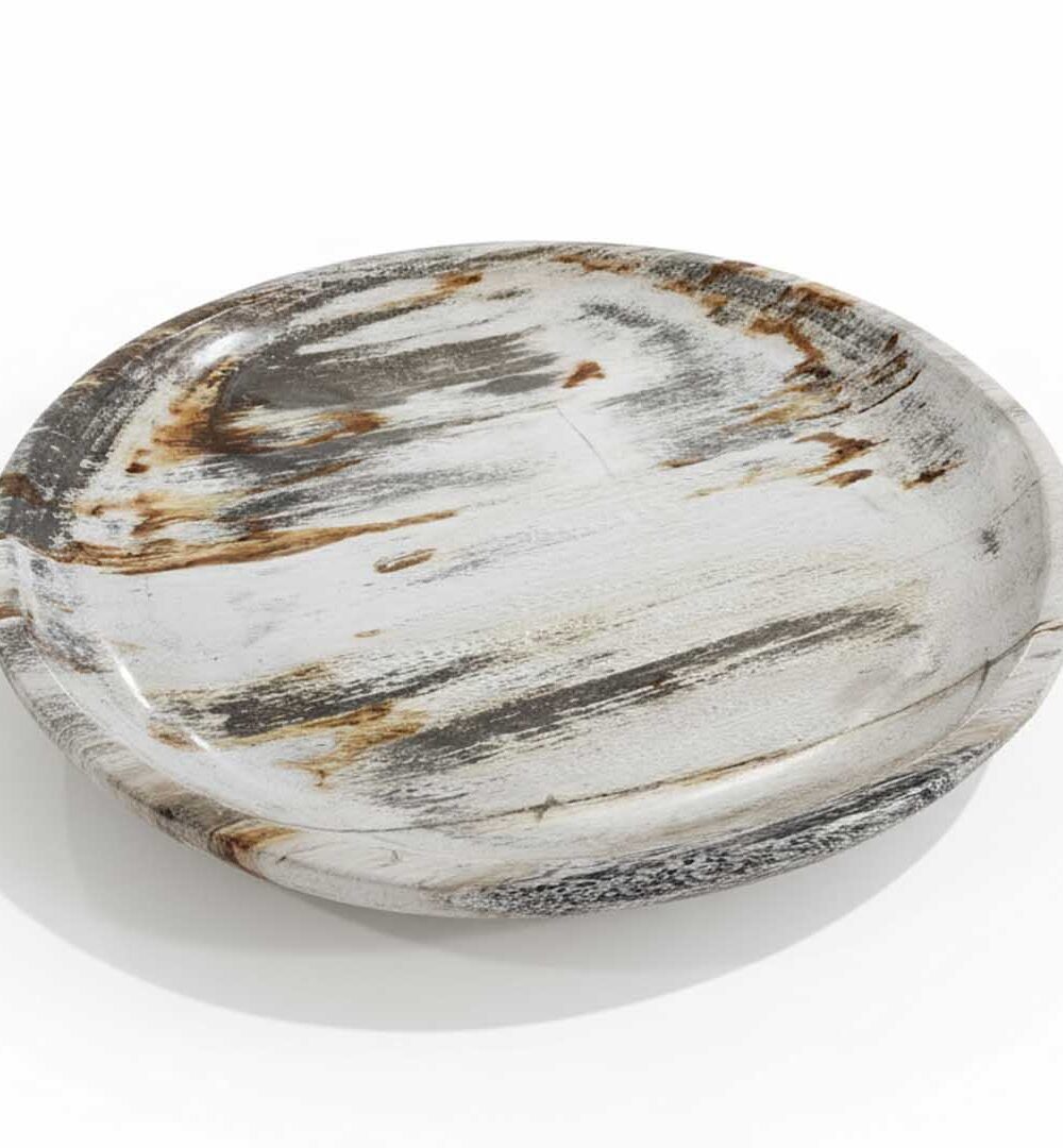Rounded Petrified Plate - PL008