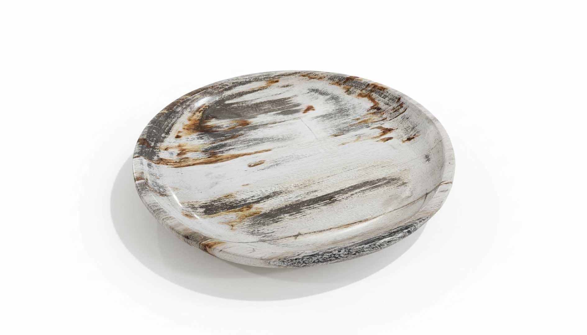 Rounded Petrified Plate - PL008