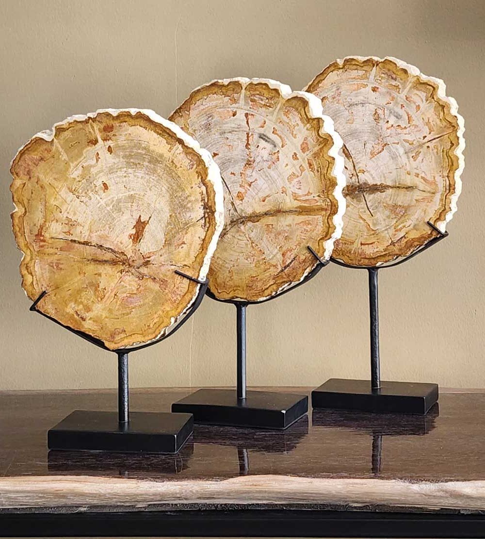 petrified wood in Bali