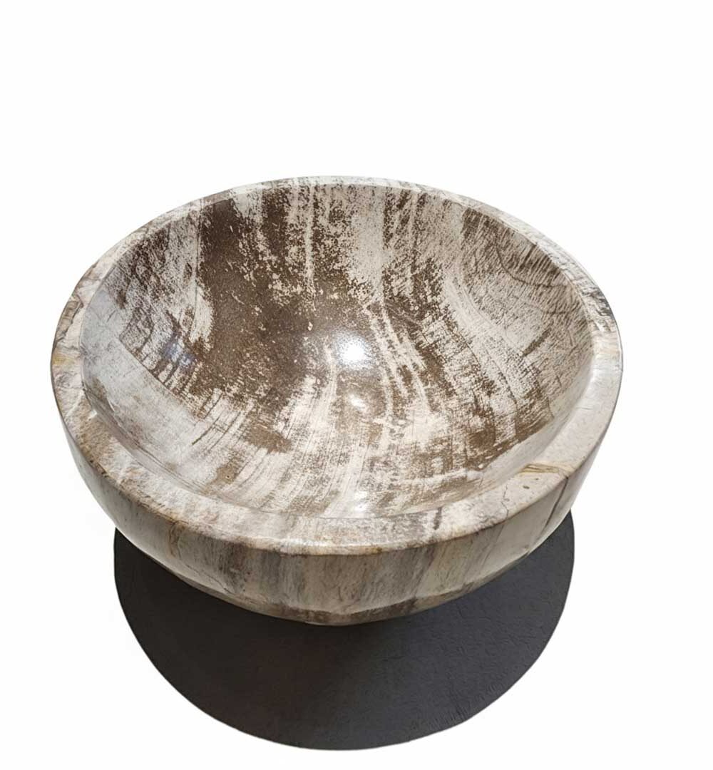 Natural Petrified Bowl - BL033