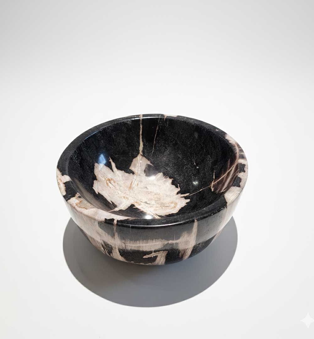 Natural Petrified Bowl - BL020