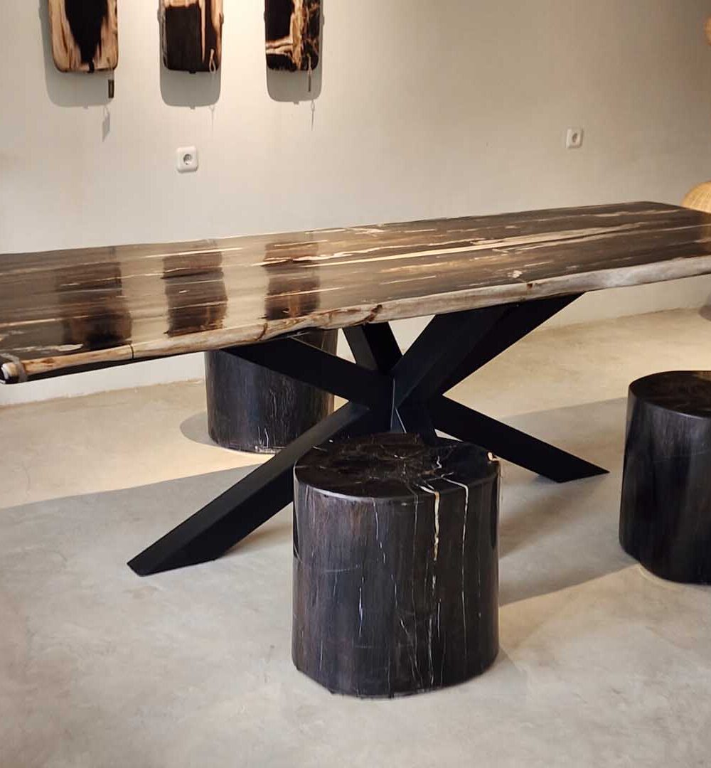 petrified wood furniture in Bali