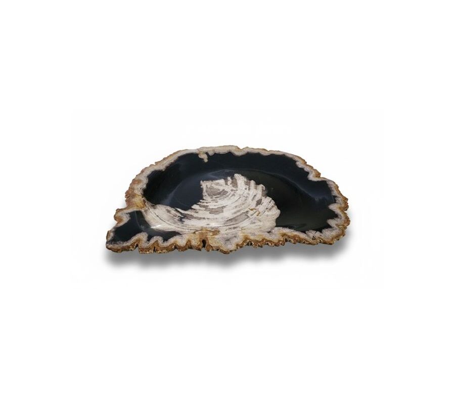 Natural Petrified Plate - PL102