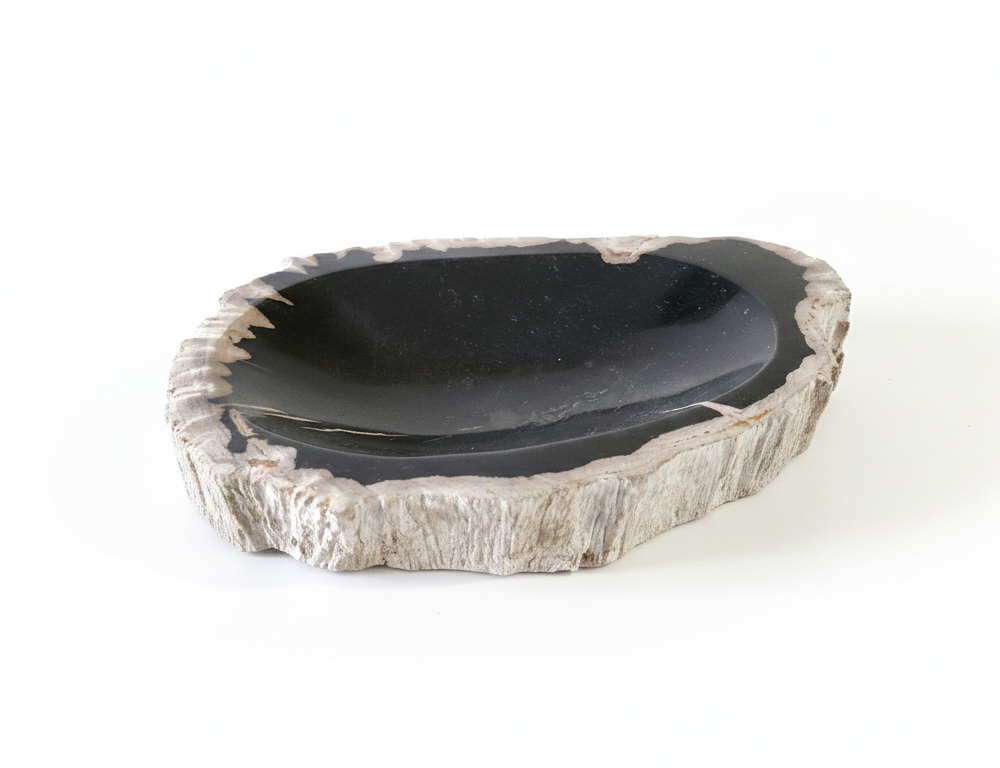 Petrified Wood Ashtray - AS016