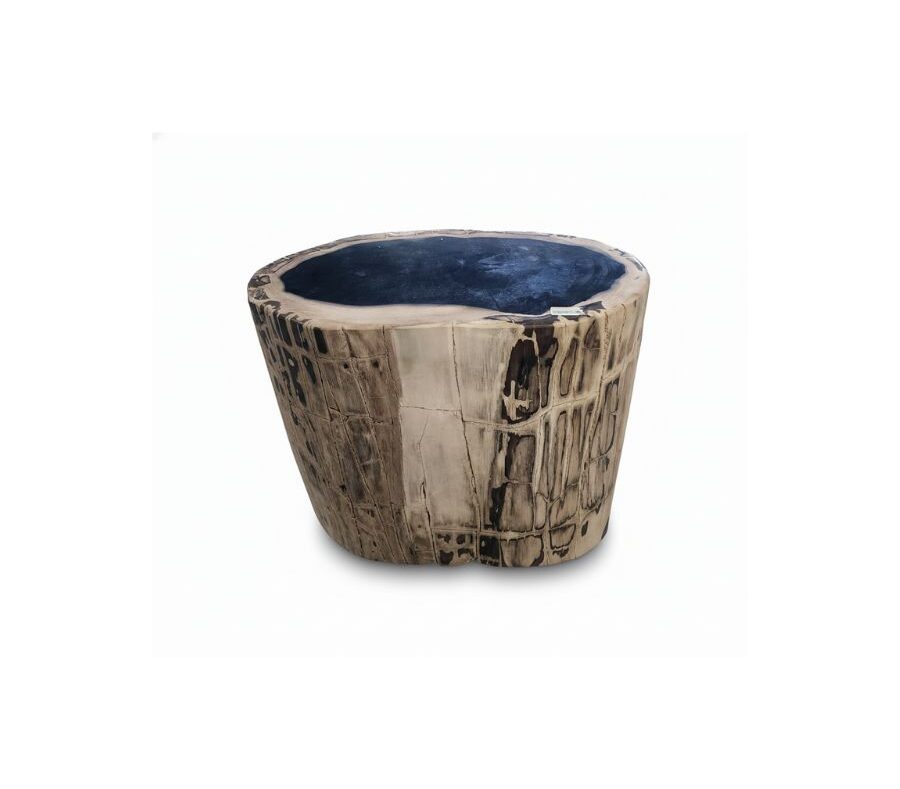 petrified wood stool collection