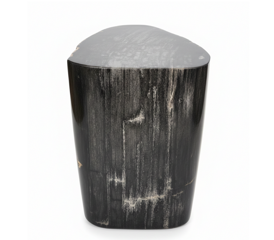 Petrified Wooden Stool -ST052