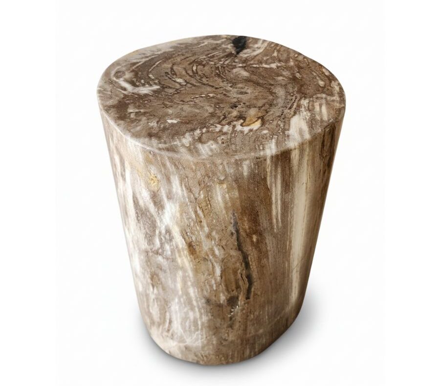 Petrified Wooden Stool -ST054