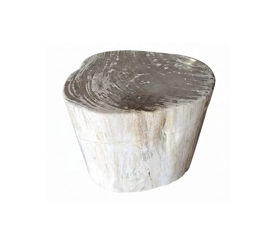 Petrified Wooden Stool -ST059