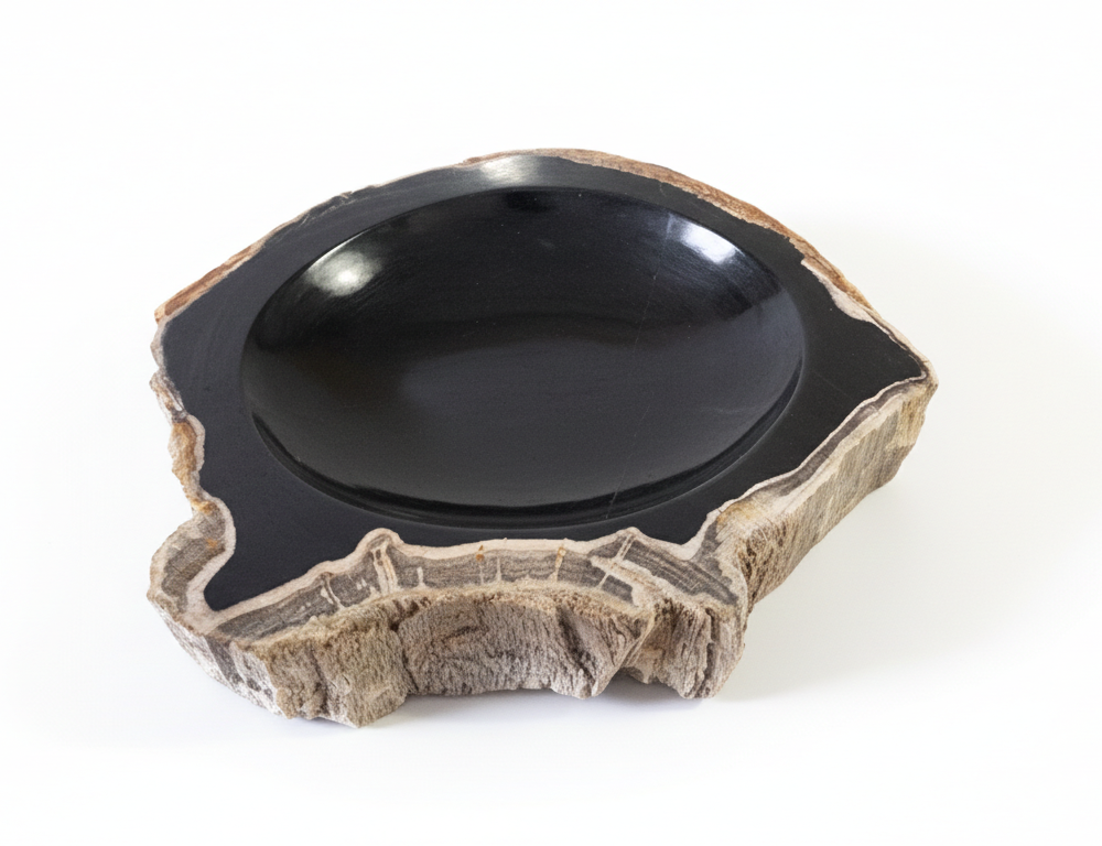 Petrified Wood Ashtray - AS025