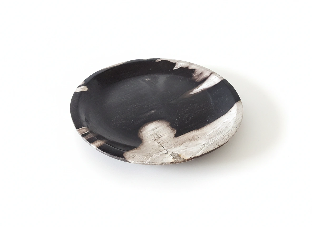 Rounded Petrified Plate – PL095