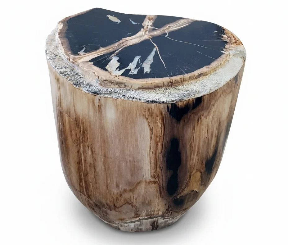 bali petrified wood collection