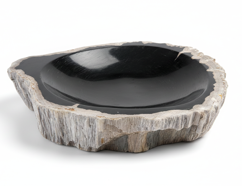 Petrified Wood Ashtray - AS017