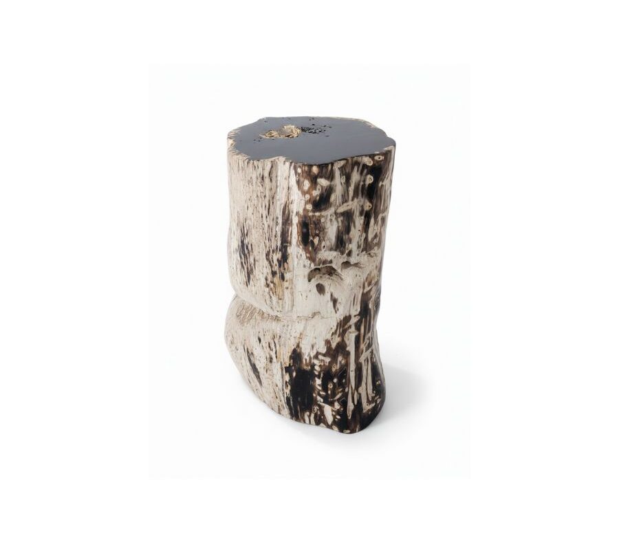 petrified wood stool collection