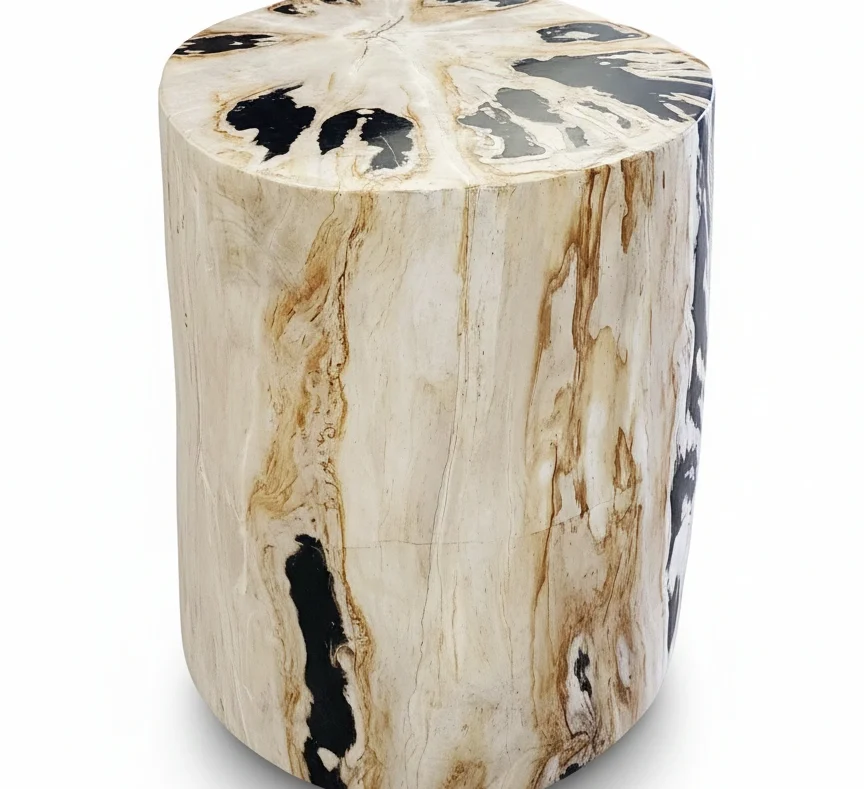 bali petrified wood collection