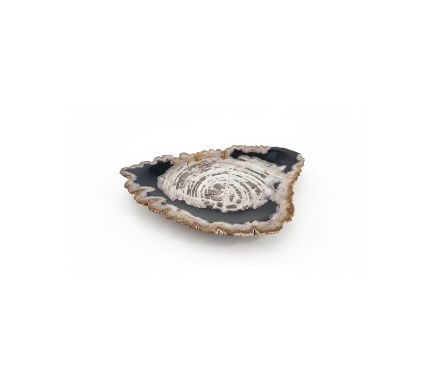Natural Petrified Plate - PL103