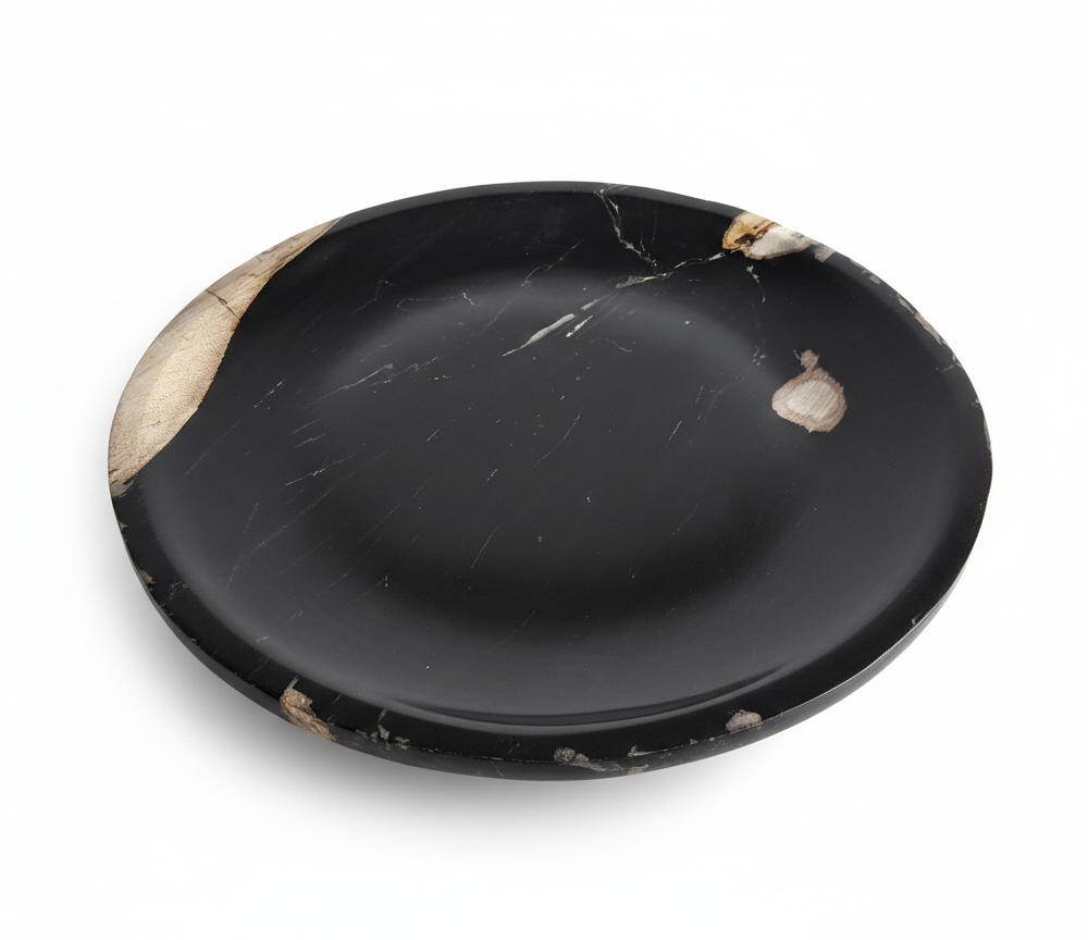 Rounded Petrified Plate – PL082