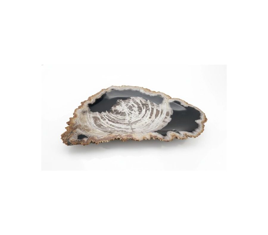 Natural Petrified Plate - PL100