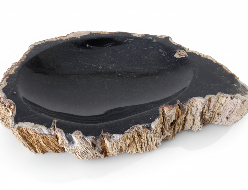 Petrified Wood Ashtray - AS020