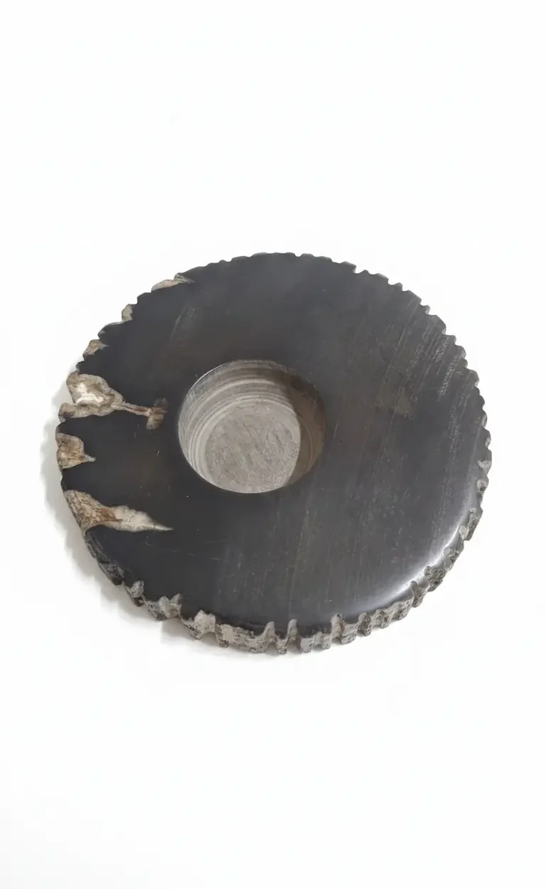 wood furniture by Bali Petrified Wood