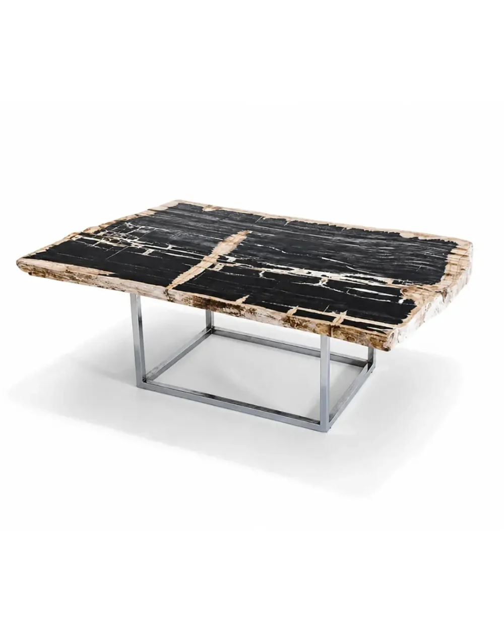 Petrified Wood Coffee Table – TB075