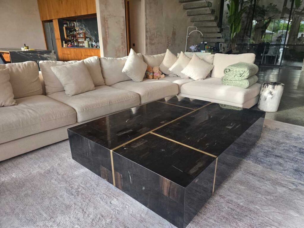 Petrified Wood Coffee Table