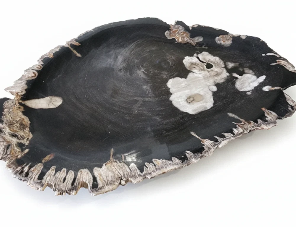 Natural Petrified Plate - PL047