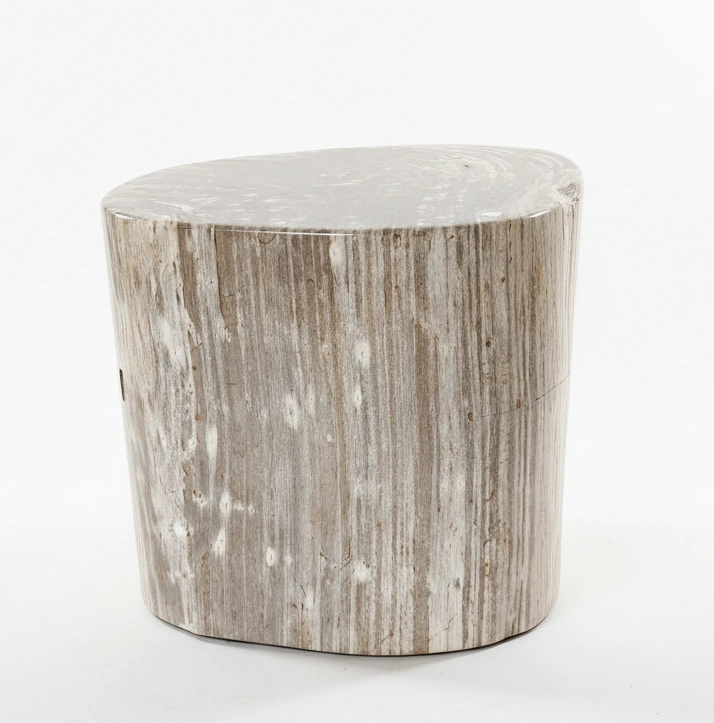 bali petrified wood collection