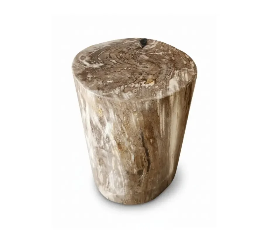 Petrified Wooden Stool -ST056