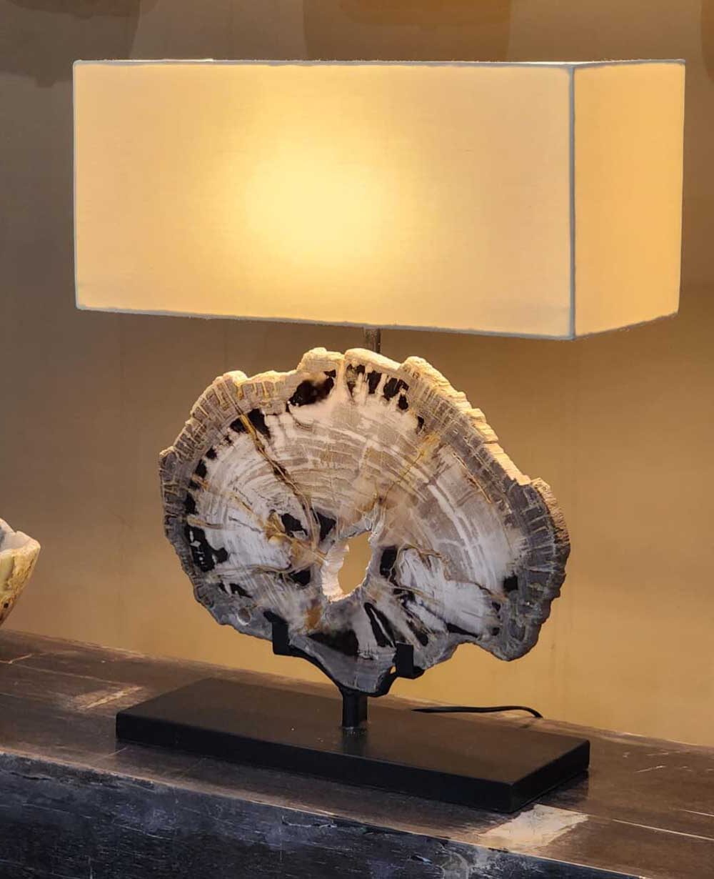 petrified wood in Bali