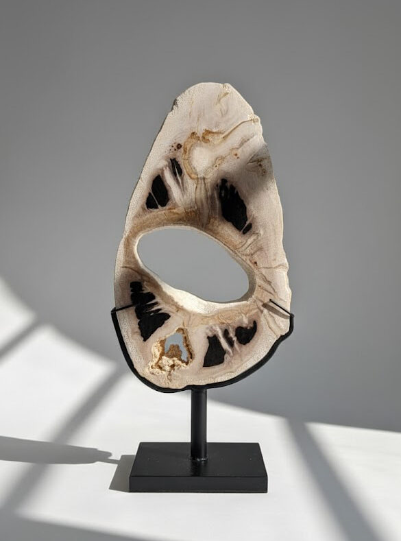 petrified wood furniture in Bali