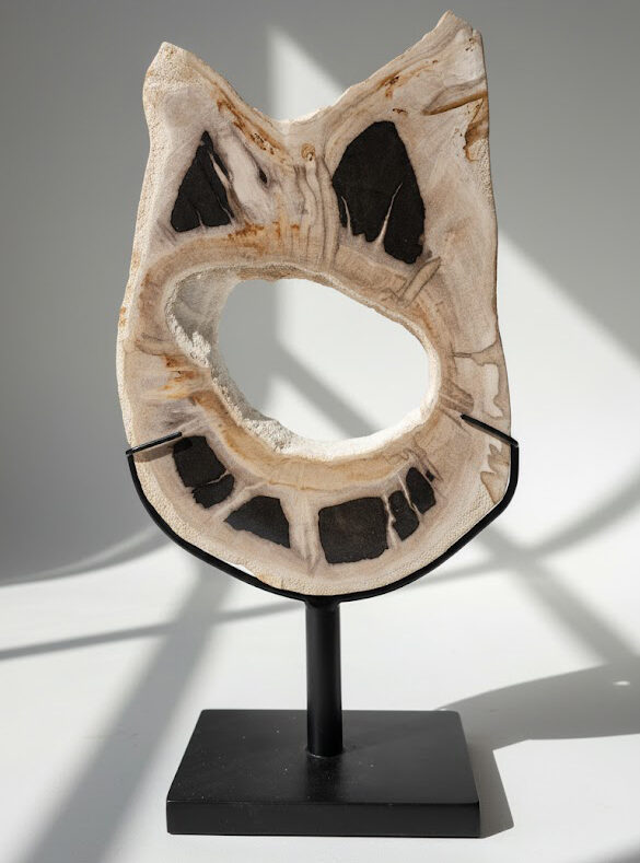 petrified wood furniture in Bali