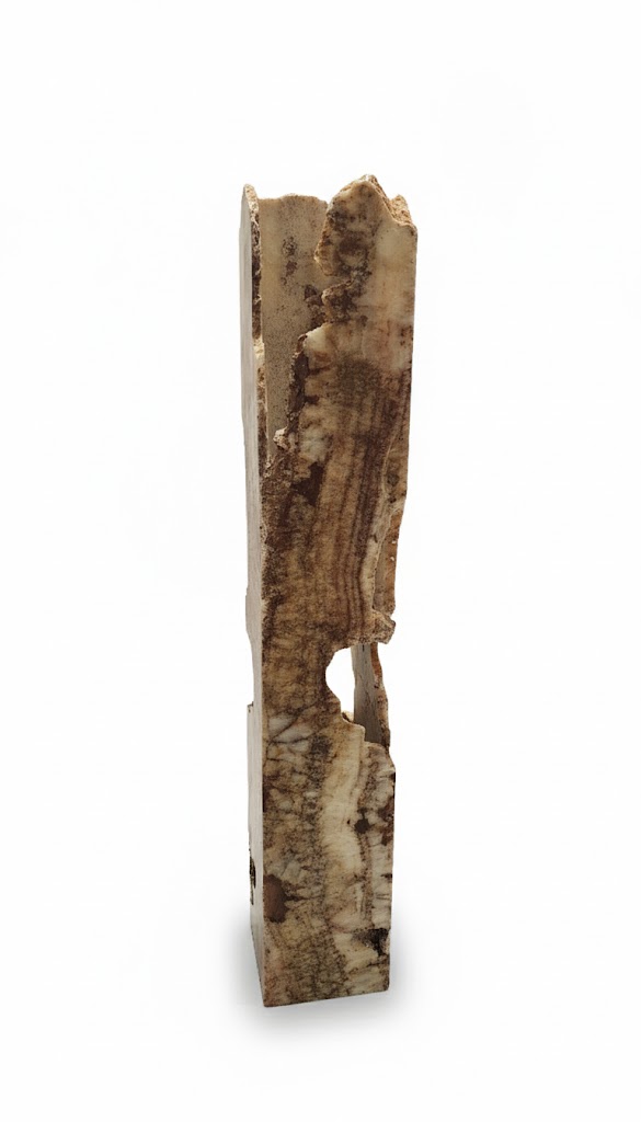 bali petrified wood showroom