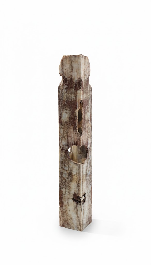 bali petrified wood showroom