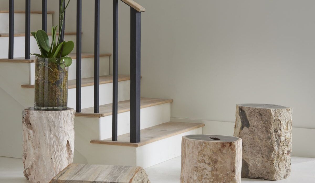Unpacking 3 Differences Between Onyx and Petrified Wood
