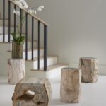 Unpacking 3 Differences Between Onyx and Petrified Wood