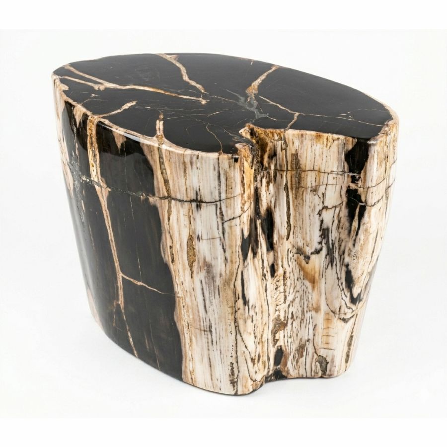 Petrified Wood Stool