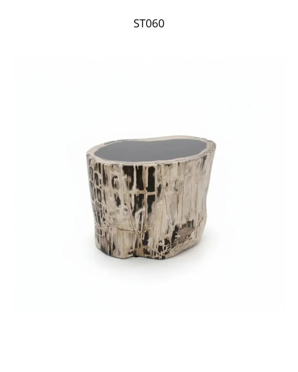 Petrified Wood Stool -ST060